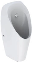 Geberit Urinal Tamina, mit integrierter Steuerung, Batteriebetrieb, Badkeramik,
