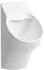 Laufen VAL Absaugeurinal spülrandlos 30.5x56cm weiß matt (H8402867570001)
