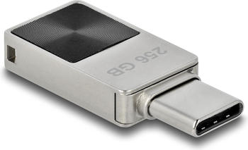 DeLock Mini USB 3.2 Gen1 Type-C 256GB