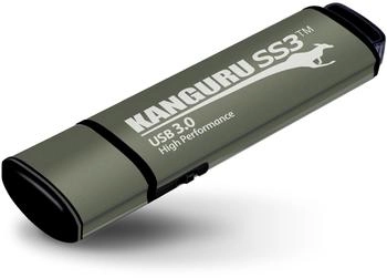 Kanguru SS3 SSD 256GB (KF3WP-256G)