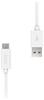 Artwizz 8072-1575 USB-C Kabel auf USB-A Stecker 2 m weiß Artwizz 8072-1575 USB-C Kabel auf USB-A Stecker 2 m weiß