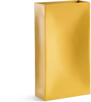 Northern Into 30cm yellow