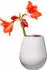 Villeroy & Boch Collier 14 cm