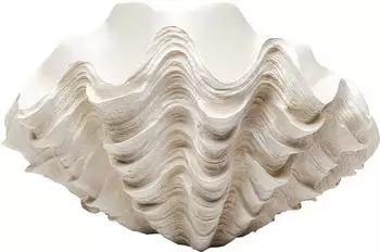KARE Concha 29cm