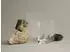 Blomus DUASIS Vase M, Glas, klar (DUASIS)