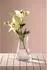 Leonardo GIA Blumenvase, Glas, transparent, 22cm (025371)