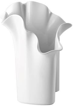 Rosenthal Asym (30cm)