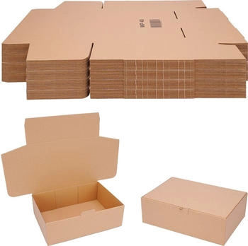 Verpacking 100 Versandkartons 310x215x100mm (21714-017)
