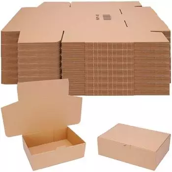 Verpacking 250 Versandkartons 310x215x100mm (21714-018)