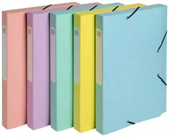Exacompta Cartobox Archivbox A4 Colorspan 25mm, 10er-Pack (18560E)