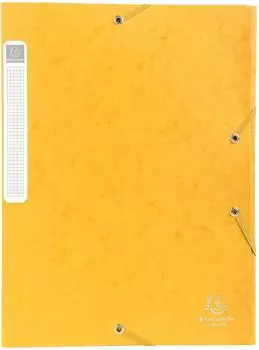 Exacompta Cartobox Sammelbox A4 mit Gummizug, 40mm R&uuml;cken, gelb, 10er-Pack (14006H)