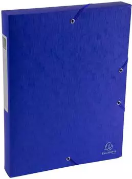 Exacompta Scotten Archivboxen A4 40mm, 10er-Pack (50812E)