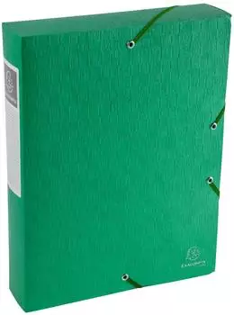 Exacompta Scotten Archivbox A4, 60mm, gr&uuml;n, 10er-Pack (50913E)