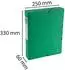 Exacompta Scotten Archivbox A4, 60mm, grün, 10er-Pack (50913E)