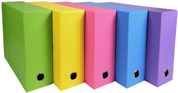 Exacompta Archivbox SALSA Karton 90 mm sortiert (89329E)