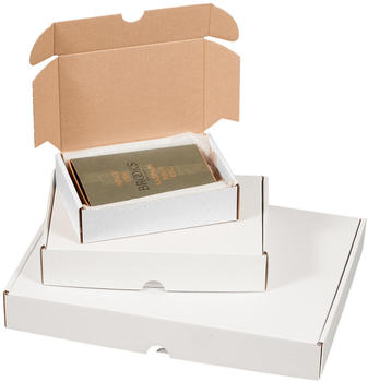 Smartboxpro Maxibriefkarton 241 x 160 x 48 mm (211117825)