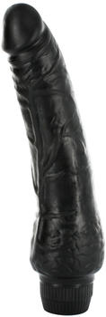 Seven Creations Black Stallion