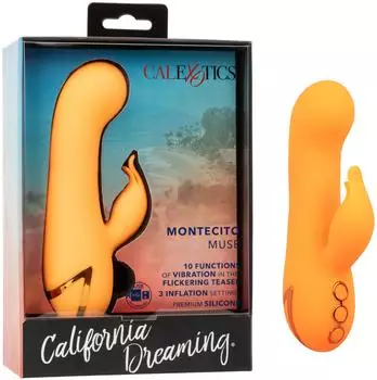 CalExotics California Dreaming Montecito Muse Orange