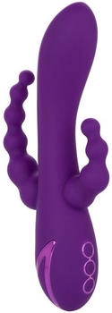 CalExotics Long Beach Bootylicious Purple