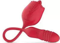 Teazers TEA060, Teazers Rose (TEA060) Rot