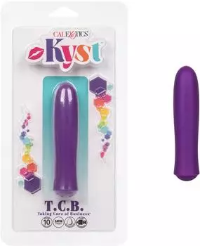 CalExotics Kyst T.C.B. Vibe Mini Vibrator Lila 10,25 cm