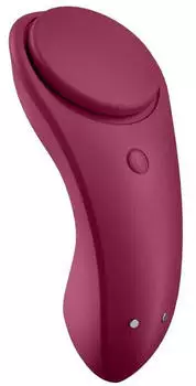 Satisfyer Sexy Secret Panty