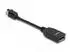 DeLock Mini DisplayPort 1.4 > DisplayPort Adapter