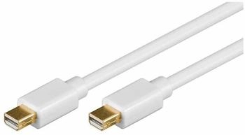 Wentronic 52850 DisplayPort-Kabel