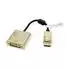 Roline DisplayPort auf DVI-D Dual Link Adapter, 0,15m (12.03.3175)