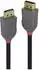 Lindy DisplayPort 1.2 Kabel Anthra Line 10m, schwarz (36486)
