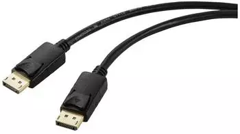 Renkforce DisplayPort-Kabel Stecker/Stecker 2m schwarz (RF-5771514)