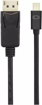 Renkforce Mini-DisplayPort auf DisplayPort Adapterkabel 2m (RF-4538176)