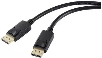 Renkforce DisplayPort Anschlusskabel 4K UHD, 5m (RF-5245270)