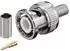 Goobay BNC-Crimpstecker für RG59/U, vergoldeter Pin (11334)