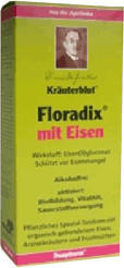 Floradix mit Eisen Tonikum (2 x 500 ml)