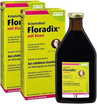 Floradix mit Eisen Tonikum (2 x 700 ml)