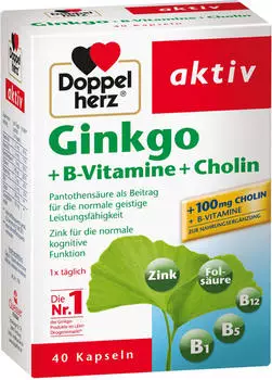 Doppelherz aktiv Ginkgo + B-Vitamine + Cholin Kapseln (40 Stk.)