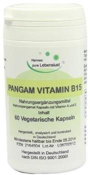 G&M Naturwaren Pangam Vitamin B15 Kapseln (60 Stk.)