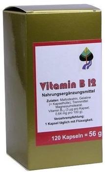 Aalborg Pharma Vitamin B 12 Kapseln (120 Stk.)