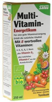 Salus Pharma Multi-Vitamin-Energetikum (250 ml)