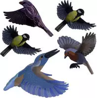Gardigo - Vogelsilhouette Heimische V&ouml;gel Bunt 5 Teilig