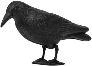 Garpet Vogelschreck Rabe stehend