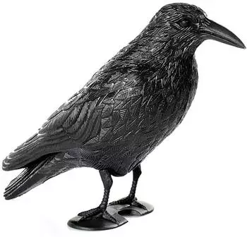 Cepewa Taubenschreck Rabe 25 cm (50774105)