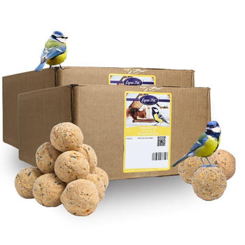 Lyra Pet Meisenkn&ouml;del Basic ohne Netz 2x100 St&uuml;ck
