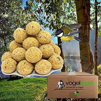 Vogelfood 200 Stück ohne Netz Meisenknödel 4 Jahrenszeiten