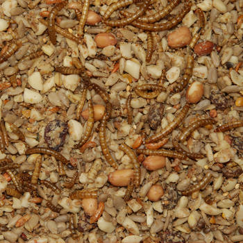 Pauls M&uuml;hle Wildvogelfutter Senkrechtstarter 10kg