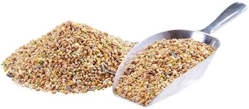 elles Geflügelkörnerfutter Plus 25 kg