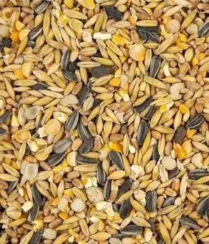 My Little Farm Bio Entenkorn 10 kg