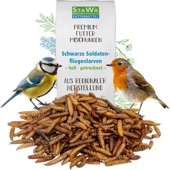 StaWa Hermetia Larven getrocknet 1 kg