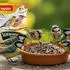 Panto Sonnenblumenkerne Gestreift 2,5 Kg